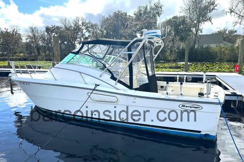 Rampage 30 Offshore ficha técnica y opiniones